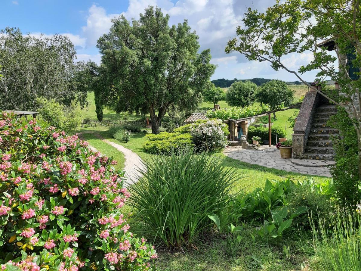 Agriturismo Cantinaccia Di Sopra Pitigliano Kültér fotó