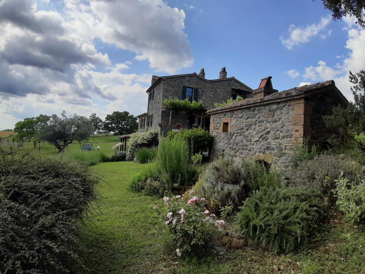 Agriturismo Cantinaccia Di Sopra Pitigliano Kültér fotó