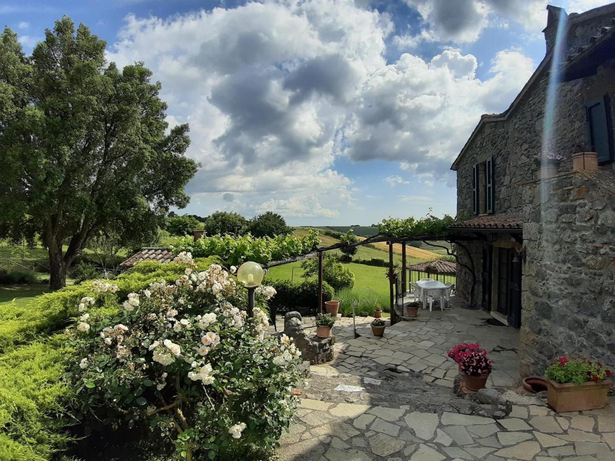 Agriturismo Cantinaccia Di Sopra Pitigliano Kültér fotó