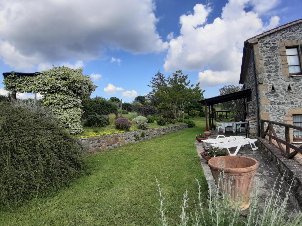 Agriturismo Cantinaccia Di Sopra Pitigliano Kültér fotó