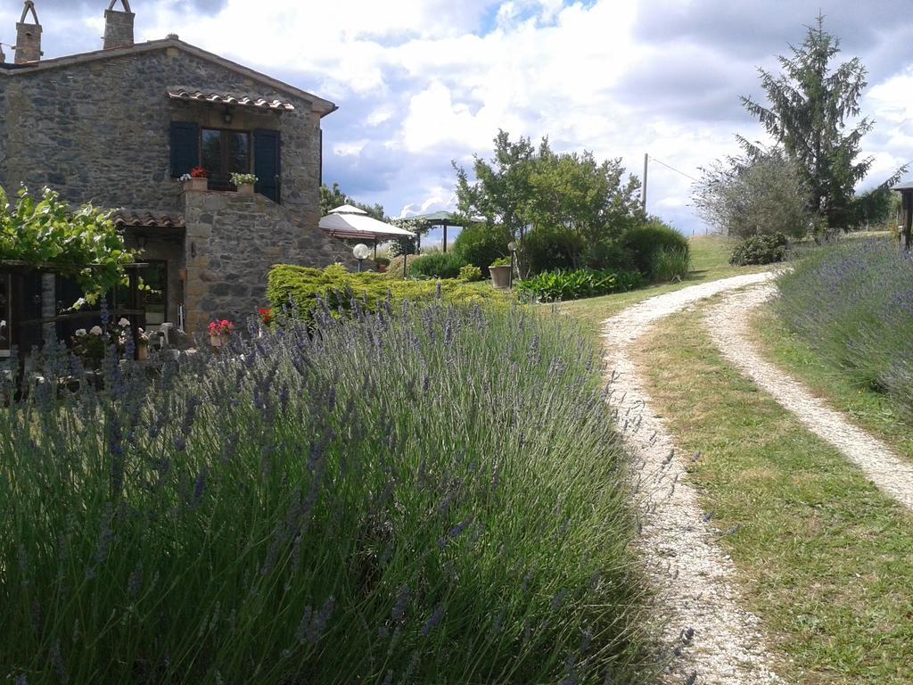 Agriturismo Cantinaccia Di Sopra Pitigliano Kültér fotó