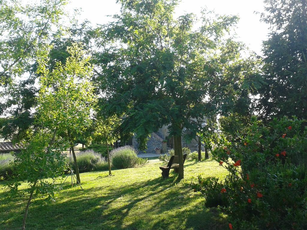 Agriturismo Cantinaccia Di Sopra Pitigliano Kültér fotó