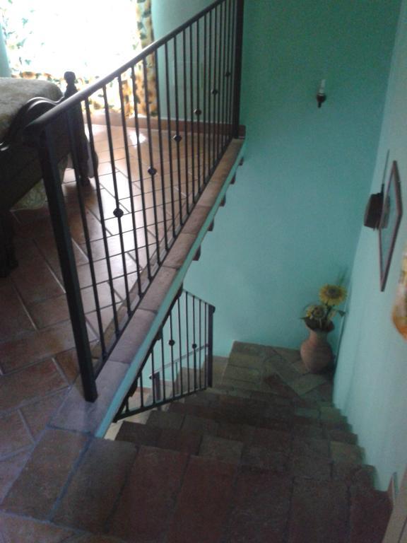 Agriturismo Cantinaccia Di Sopra Pitigliano Kültér fotó